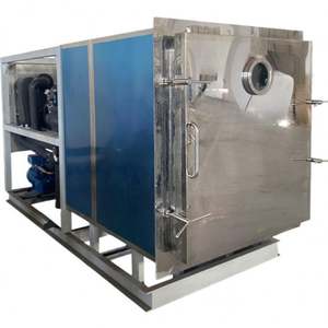 Liofilizador al Vacío de Gran Capacidad para Producción de Alimentos, Frutas y Verduras Liofilizadas - Product Image 6