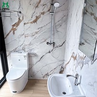 Maison conteneur préfabriquée contemporaine, portable et extensible en acier, écologique, mobile, pour exposition, utilisation en villa ou appartement
