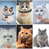 Besafe liontin Tag anjing cetakan tanah liat Resin cetakan gantungan kunci untuk Resin buatan rumah DIY kerajinan dengan tulang kucing ikan bentuk bulat