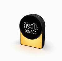 Cadeau d'entreprise promotionnel, portable, solaire, alimenté par DC 2, pour haut-parleur V2.0, autonomie de la batterie de 15 à 20 heures, LED RVB, support de téléphone, radio FM