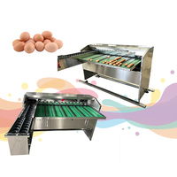 Clasificador de Huevos de Acero Inoxidable de Grado Alimenticio con Cinta Transportadora
