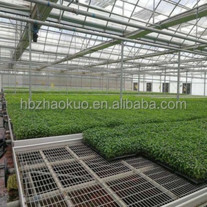Large Movable Wire Mesh Seedbed Greenhouse <strong>Plant</strong> Nursery Equipment Grow <strong>Table</strong> Rolling Mesh Benches Hot Galvanized Steel - Product Image 6