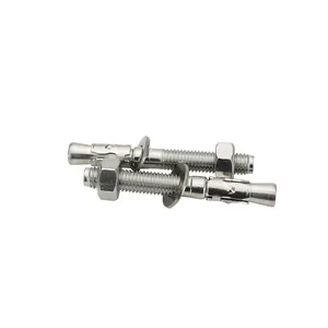Fastener Product M6-M24 Ss304 316 Stainless Steel Expansion Wedge Anchor Bolt