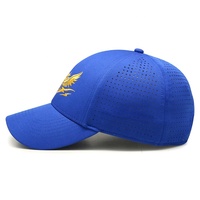 Gorras de Béisbol Polo Personalizadas con Logotipo Bordado, 6 Paneles, Algodón Oxford, Estampado de Frutas, Impresión Puff, Marca Privada