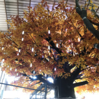 Haute Simulation automne rouge érable japonais grande plante artificielle en fibre de verre pour décor de paysage extérieur importé du japon