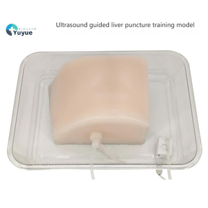 Modèle d'Enseignement Médical - Modèle de Formation à la Ponction Hépatique Guidée par Échographie - Product Image 1