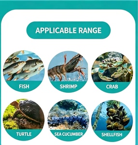 Condizionatore d'Acqua per Acquacoltura: Liquido Acido Organico, Chelante per <span class=keywords><strong>Metalli</strong></span> <span class=keywords><strong>Pesanti</strong></span> e Riduttore di Ammoniaca - Product Image 5