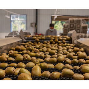 <span class=keywords><strong>Chambre</strong></span> <span class=keywords><strong>froide</strong></span> à température élevée, entrepôt de pommes de terre, conteneur frigorifique d'<span class=keywords><strong>occasion</strong></span>, unité de réfrigération pour le stockage des kiwis, <span class=keywords><strong>moteur</strong></span> à air - Product Image 1