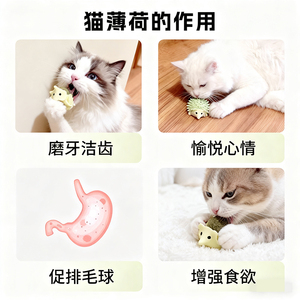 ของเล่นแมวรูปเม่นพร้อมลูกบอลแคทนิป ทนทาน ช่วยให้ลูกแมวเพลิดเพลินและคลายเครียด - Product Image 5