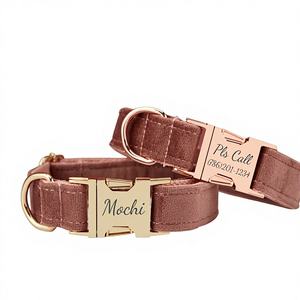 Conjunto de Collar y Correa Personalizados para Perro Arizona Vee con Diseño de Lazo de Flores, Placa con Nombre Grabada en Oro, Accesorio para Cachorros de Boda - Unisex - Product Image 1