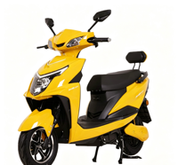 Moto électrique longue portée 1000W Vente directe d'usine