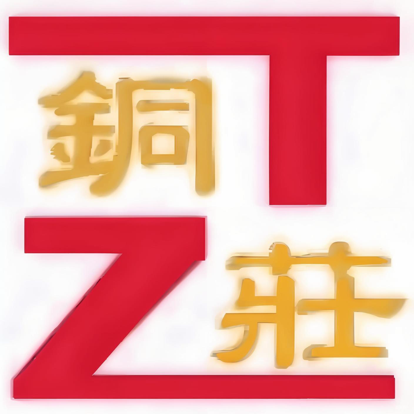 Dongguan Tongzhuang Metal Materials Co., Ltd. logo