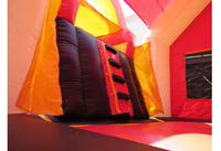 Château gonflable à thème pour petits chiens avec toboggan pour usage commercial