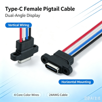 LN-003 Rakitan Kabel Soket Wanita Tipe C, dengan Tab Pemasangan, 4 Inti 24AWG Konektor Daya Modifikasi DIY Jack Usb-C