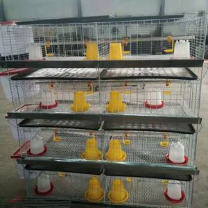 Cuencos de agua fáciles de agregar, bandejas de barrido rápido, crianza diaria de pollos de engorde, jaula de pollos de varios niveles sin complicaciones, garantía de 5 años - Product Image 1