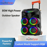 Sistema de Audio Profesional de Alta Calidad para Escenarios, Caja con Cuatro Woofers de Alta Potencia de 80w, BT 5.0, Conexión TWS para Fiestas al Aire Libre en el Patio Trasero