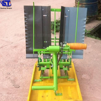 Nouvelle petite transplanteuse à riz à double rangée à manivelle avec boîte de vitesses et roulement à billes