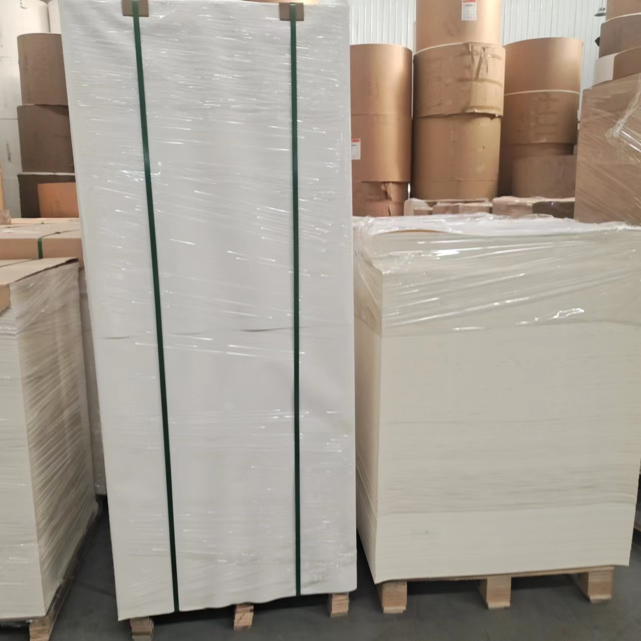 Custom Logo Eco-Friendly Food Grade PE Coated Cardboard Sheet Single Double Layer Parchment Paperboard hot Cup Packaging