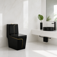 WC monobloc à siphon carré, en céramique avec ligne dorée, Vente chaude, Sanitaires modernes pour salle de bain