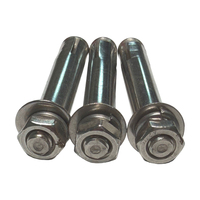 Baut Ekspansi Baja Tahan Karat M8*70 201