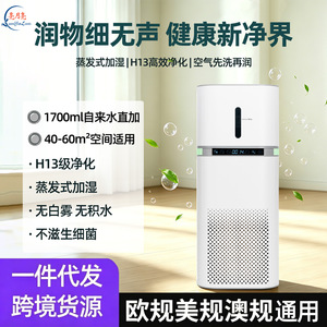 Air Purifier <b>Humidifier</b> Combo 11-20m Formaldehyde Removal Home Use - Product Image 5