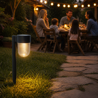 Lampes solaires d'extérieur pour allées, étanches, LED blanc chaud 3000K, pour aménagement paysager, pelouse, jardin, piquets lumineux pour cour et allée