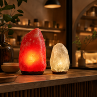 Lampe en sel rose de l'Himalaya de forme naturelle avec base en bois, variateur de lumière tactile, décoration d'ambiance pour chambre à coucher de Noël, vente en gros
