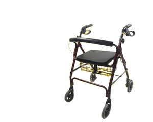 Deambulatore di Alta Qualità per Anziani e Disabili, Robusta Sedia a Rotelle Assistita per la Deambulazione, Made in China - Product Image 1