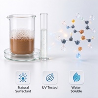 Poudre de saponine de thé 60 %, extrait de Camellia Oleifera, tensioactif naturel pour détergent et soins, saponine de thé en vrac 1 kg
