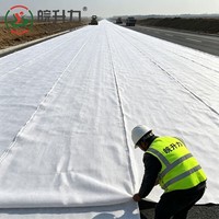 Tissu de séparation géotextile tissé WSL pour l'isolation du ballast des voies ferrées et des sous-drivages routiers, empêche le mélange du sol, fonction de filtration