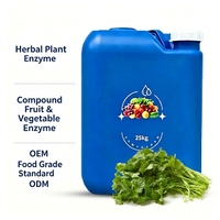Extrait Liquide d'Enzymes de Coriandre (Coriandrum Sativum) Fermenté, Matière Première, 25kg, Vrac