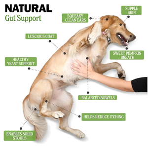 Suplemento <span class=keywords><strong>para</strong></span> <span class=keywords><strong>perros</strong></span> y gatos, golosinas <span class=keywords><strong>para</strong></span> <span class=keywords><strong>perros</strong></span>, masticables suaves, venta al por mayor, <span class=keywords><strong>probióticos</strong></span>, suplemento alimenticio <span class=keywords><strong>para</strong></span> mascotas, cuidado <span class=keywords><strong>de</strong></span> la salud <span class=keywords><strong>para</strong></span> <span class=keywords><strong>perros</strong></span> y gatos - Product Image 4