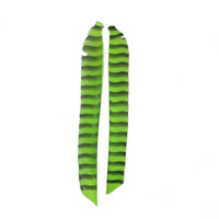 Véritable aile naturelle tir à l'arc flèche plume empennage aubes plume de dinde pour bricolage tir à l'arc chasse cible tir flèche accessoire