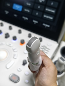 Nouvel Échographe Vétérinaire Sonoscape Propet 60 sur Chariot, Échographe Doppler Couleur de Qualité Professionnelle pour Cliniques et Hôpitaux Vétérinaires - Product Image 5