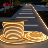 Nouveau néon LED flexible extérieur 6x12mm IP65 en silicone 12V/24V résistant aux UV et aux brumes salines, courant constant IC, garantie 5 ans