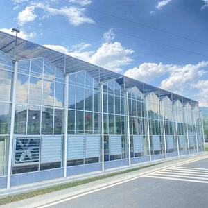 Многопролетная стеклянная теплица для выращивания цветов и овощей, сельскохозяйственное оборудование, тепличная система - Product Image 5