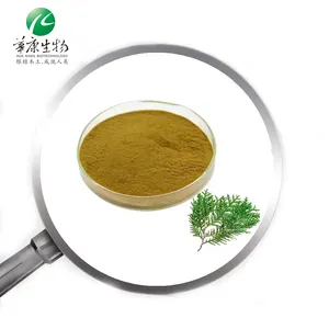 Hunan Huakang Planta Natural Crescimento do Cabelo Ingrediente Ativo Extrato de Folha Platycladus Orientalis em Pó