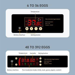 Горячая распродажа: Инкубатор для яиц с поддержанием температуры до 300 градусов, автоматический, с высокой степенью выводимости - Product Image 6
