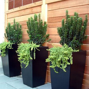 Jardinières carrées en fibre de verre modernes, légères, écologiques, durables, pour la décoration de <span class=keywords><strong>jardin</strong></span>, utilisation extérieure et domestique, capacité 8L, pour la culture. - Product Image 5