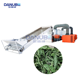 New Technology Chicory Mesh Belt Dryer Chicory <b>Drying</b> <b>Equipment</b> Chicory Dehydration Processing Machine - Product Image 1