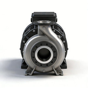 Bomba de succión horizontal Grundfos NbG de 1 HP con salida de 50 mm, motor eléctrico centrífugo y conexión de brida - Product Image 2