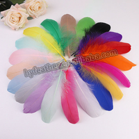 Plumes d'oie naturelles pour l'artisanat, le bricolage, la décoration de stylos, les coiffes, les costumes, les chapeaux, les accessoires capillaires, les fêtes de carnaval, les mariages, la décoration intérieure et les décorations de Noël