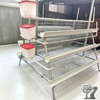 Nouvelle cage à poulets à 3 niveaux à faible coût, galvanisée à chaud, matériau Q235, garantie de 2 ans, longue durée de vie, élevage de volailles