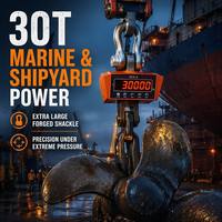 Balance de grue robuste de 30 tonnes avec système d'avertissement de surcharge, structure entièrement en acier renforcée pour opérations de pesage sécurisées en chantier naval