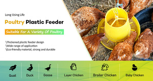 Gran oferta <span class=keywords><strong>de</strong></span> pollos <span class=keywords><strong>de</strong></span> engorde para bebés, pollo, Cubo <span class=keywords><strong>de</strong></span> alimentación <span class=keywords><strong>de</strong></span> plástico grueso, alimentador <span class=keywords><strong>de</strong></span> palomas para cría <span class=keywords><strong>de</strong></span> aves <span class=keywords><strong>de</strong></span> corral - Product Image 3