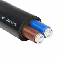 Cable de Alimentación ZC-YJLV de 2 Núcleos, Conductor de Aluminio, Aislamiento XLPE, 0.6/1kV Clase C, Revestimiento de PVC FR, IEC 60502 para Circuito Monofásico