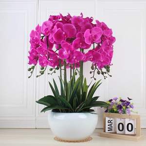 Orquídea Artificial de Alta Calidad con 8 Cabezas, Tacto Realista, Látex Blanco, Decoración de Lujo para Bodas - Product Image 5