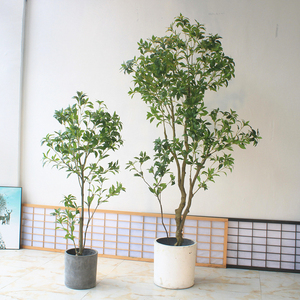 High Simulation Natural <strong>Artificial</strong> Lemon Tree Plant Miniature Green <strong>Bonsai</strong> Made China for Christmas Halloween Decor Plastic Silk - Product Image 2