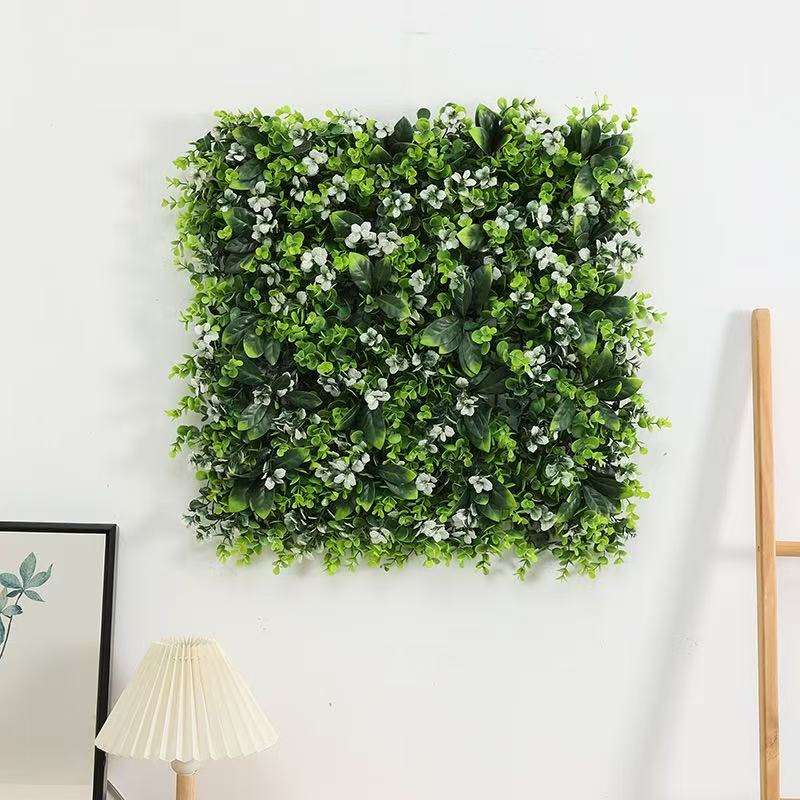 เปอร์เซียสีเขียวอ่อน