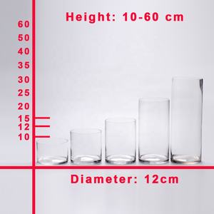 Fabbrica vendita direttamente pavimento alto chiaro cilindro vaso <span class=keywords><strong>di</strong></span> <span class=keywords><strong>vetro</strong></span> con varie dimensioni <span class=keywords><strong>per</strong></span> la pianta idroponica <span class=keywords><strong>di</strong></span> bambù dracaena sanderiana - Product Image 3